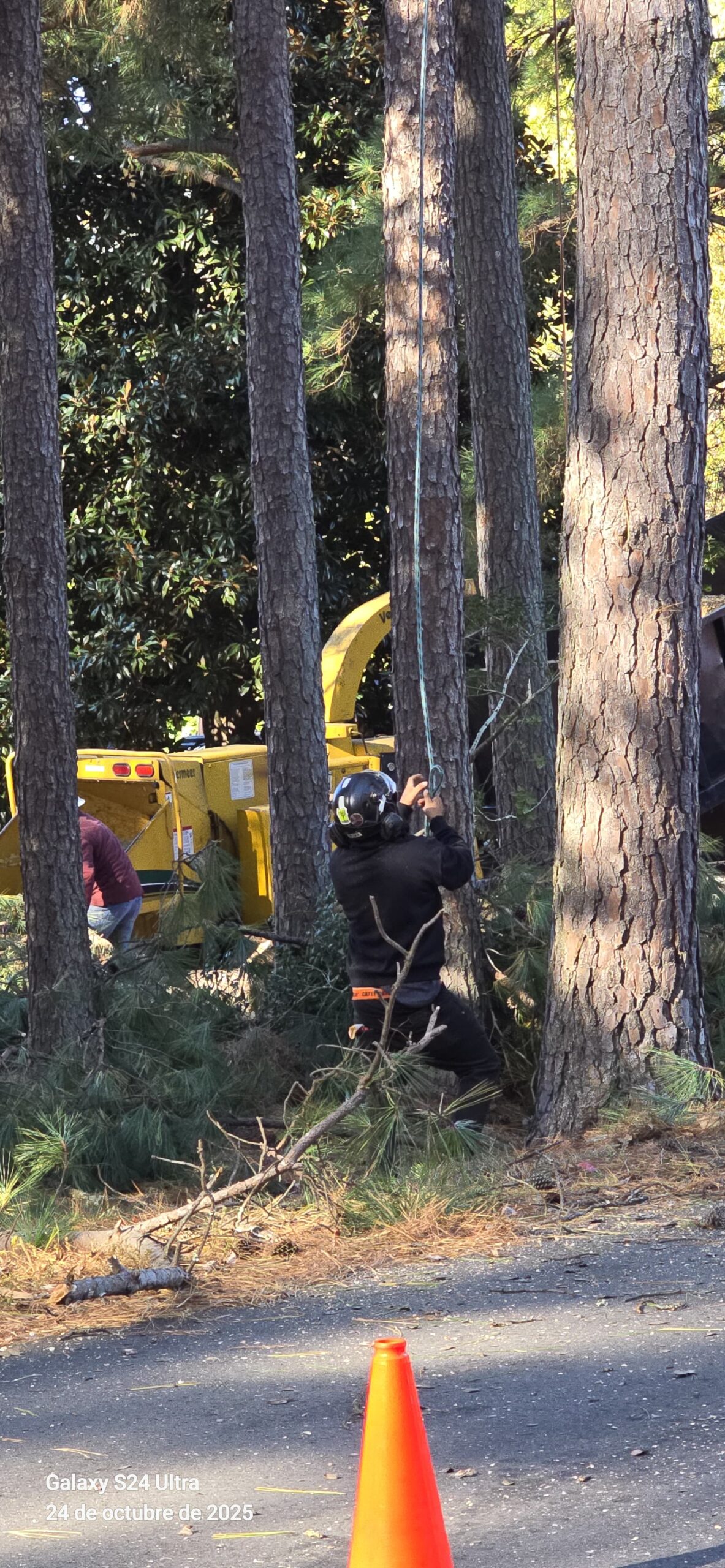 Tree Services - Joseph Tree Services