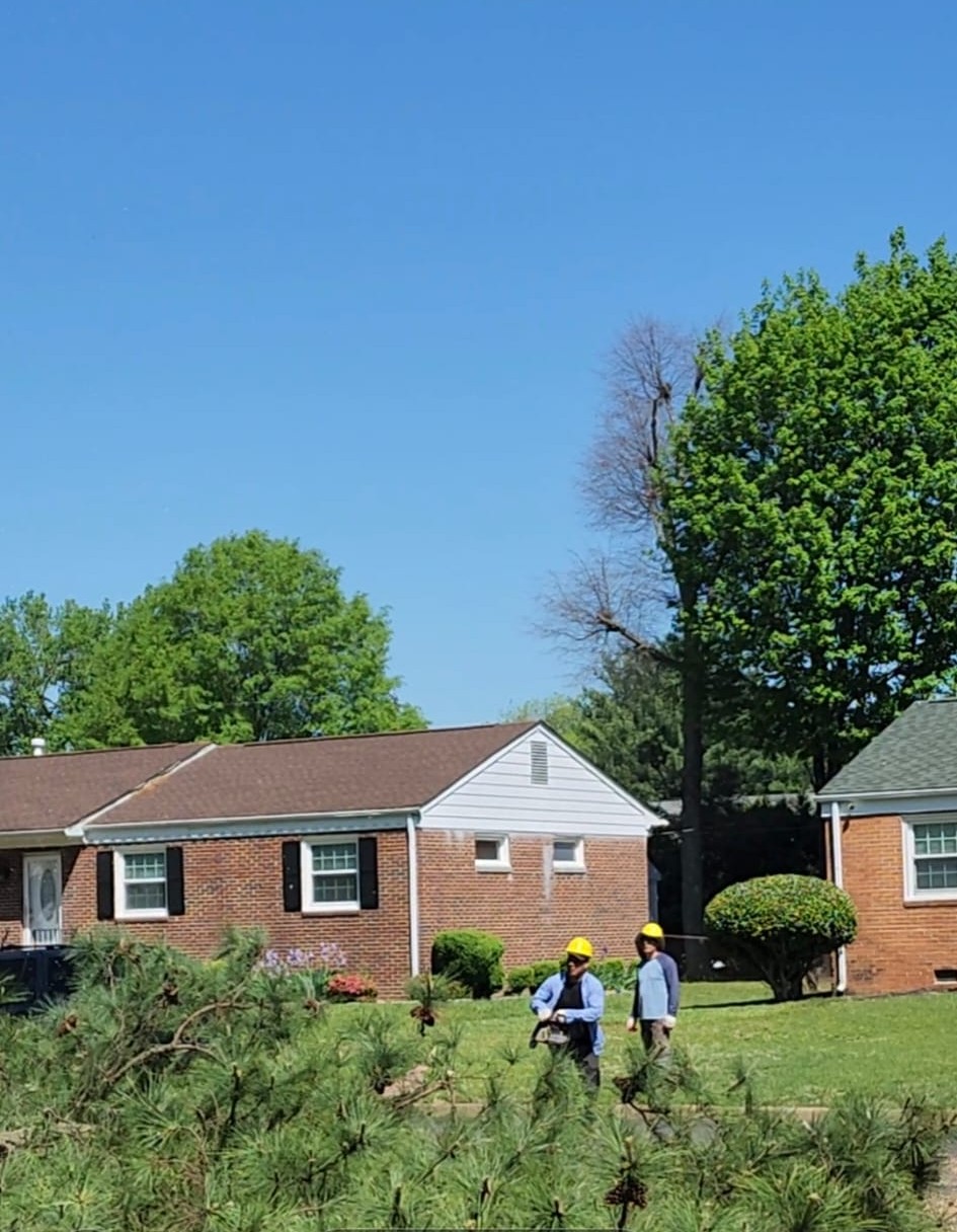 Joseph Tree Services professional equipment