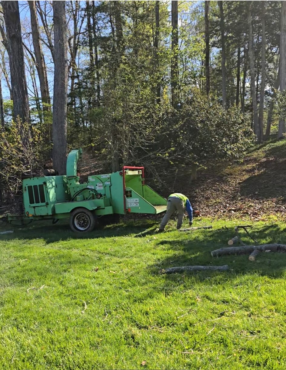 Joseph Tree Services professional equipment
