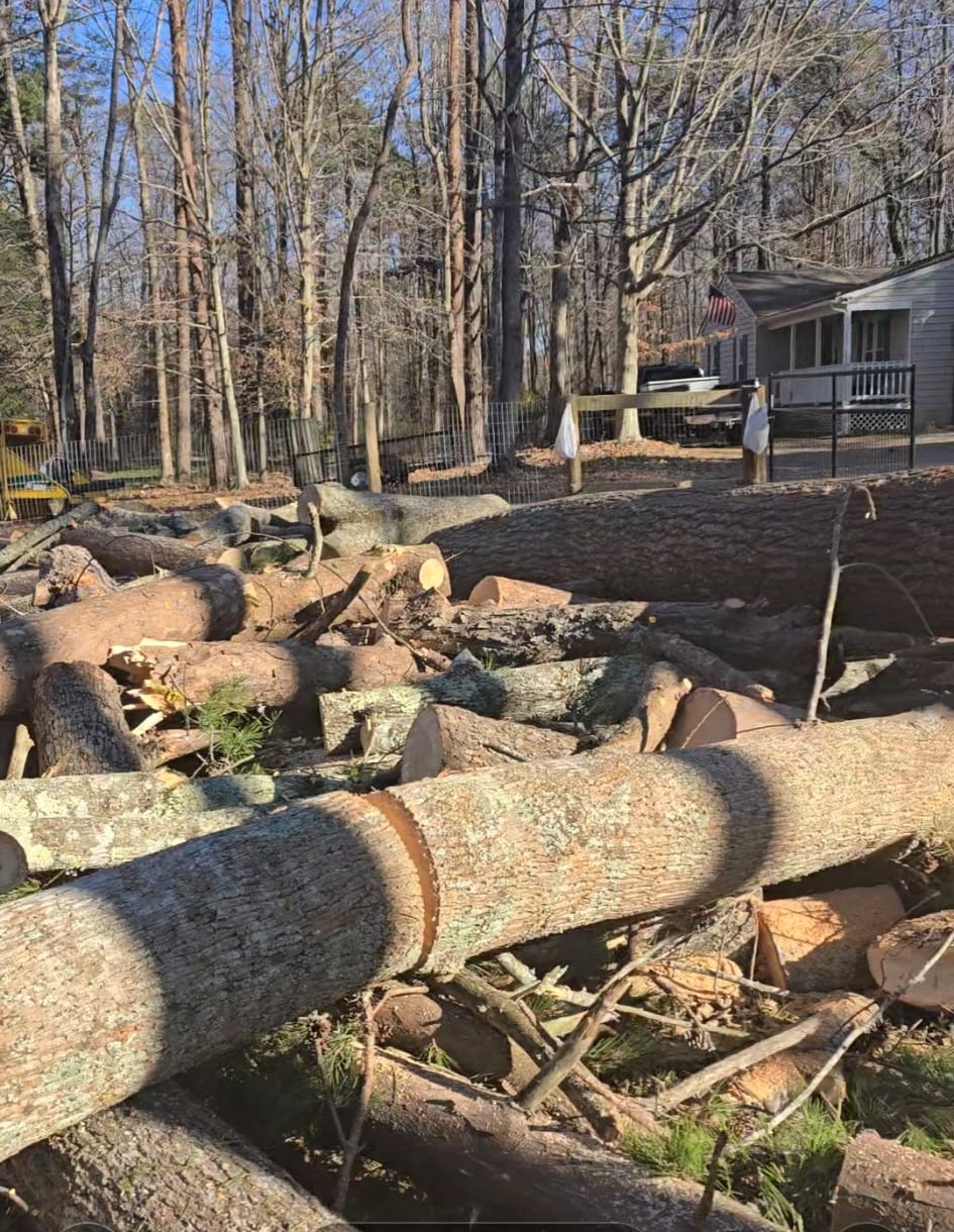 Tree Trimming - Joseph Tree Services