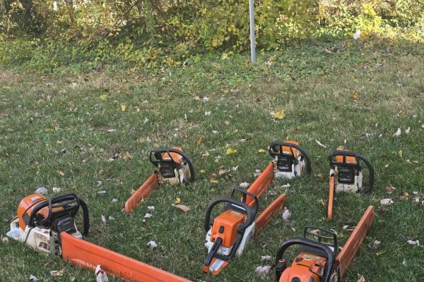 Tree Services in Richmond, VA, Tree removal in Richmond, VA, Tree cutting in Richmond, VA, Tree trimming in Richmond, VA (24)