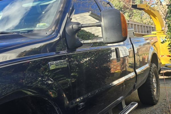 Tree Services in Richmond, VA, Tree removal in Richmond, VA, Tree cutting in Richmond, VA, Tree trimming in Richmond, VA (27)